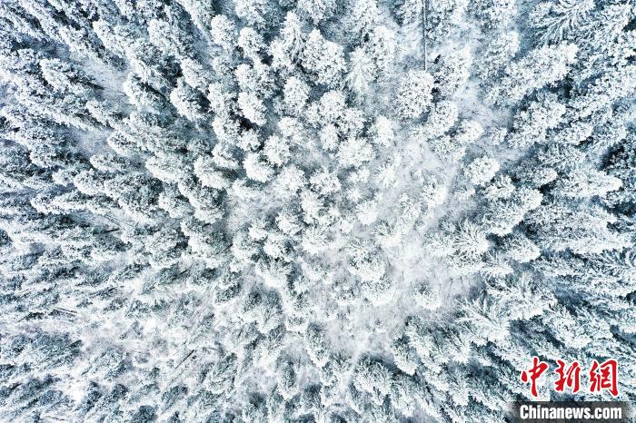 壤塘的雪后美景?！∪捞量h融媒體中心供圖
