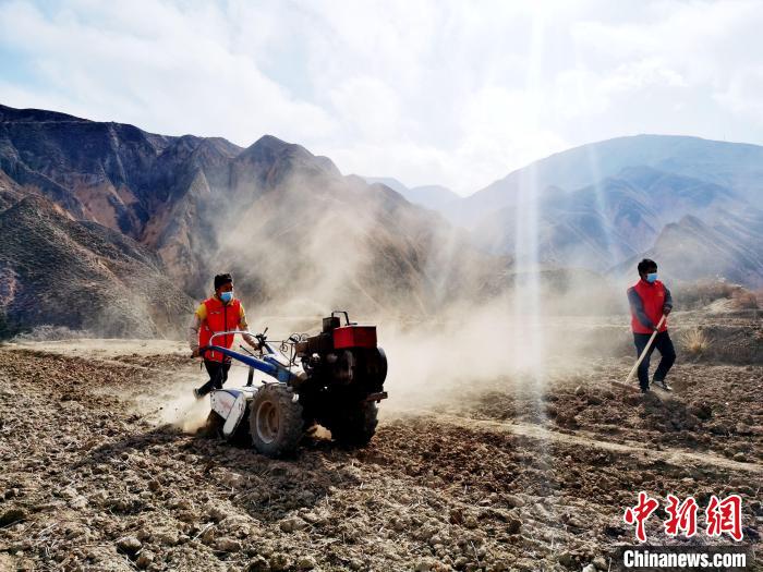 圖為拖拉機(jī)在山地犁地。　張?zhí)砀?攝