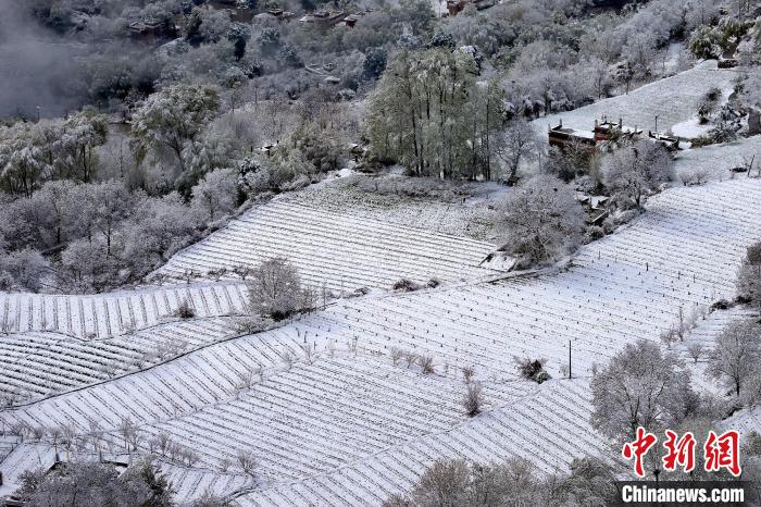 雪后的高山田間如畫。　李永安 攝