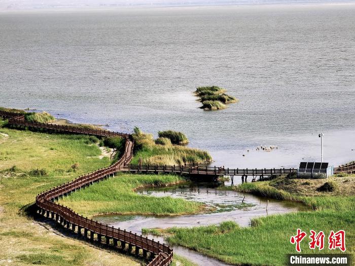 圖為都蘭湖國(guó)家濕地公園觀光棧道?！∑钤鲚?攝