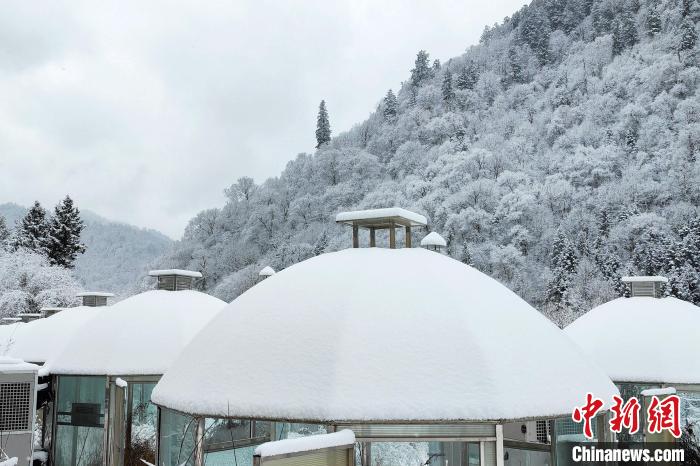 大熊貓國(guó)家公園王朗片區(qū)春雪如畫(huà)，宛若仙境?！×_春平 攝