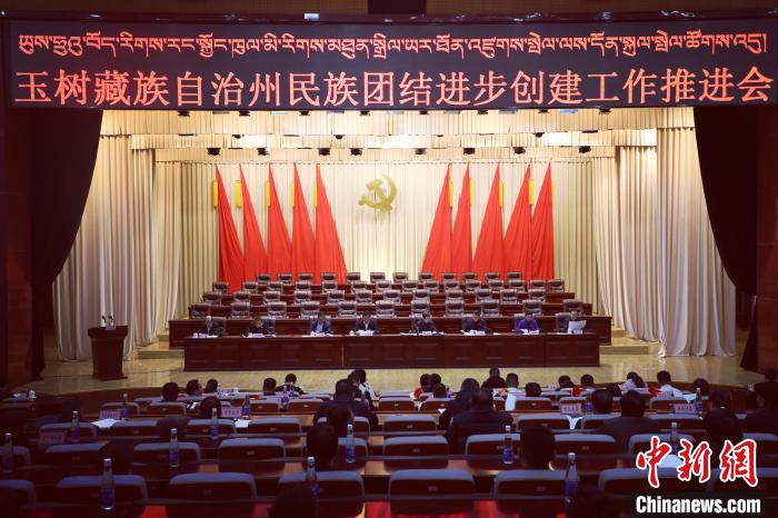 圖為玉樹州民族團結進步創(chuàng)建工作推進會現場?！『F龍 攝