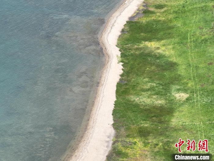 圖為航拍仲夏時節(jié)，青海湖畔綠茵如毯?！∑钤鲚?攝