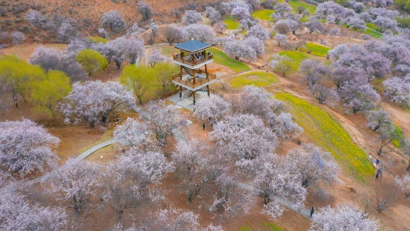 林芝嘎拉村。 張靜攝