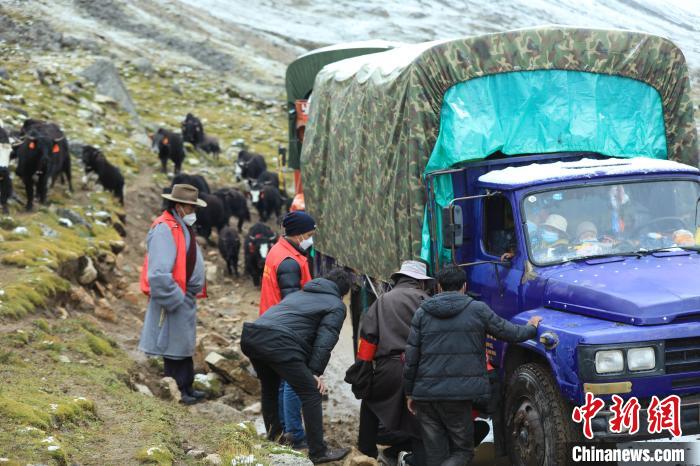 圖為牧民們查看車輛準備出發(fā)?！÷蹇?攝