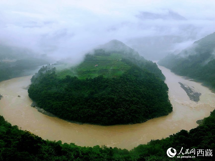 雅魯藏布江大峽谷蛇形拐彎處，山坡上種滿茶樹。