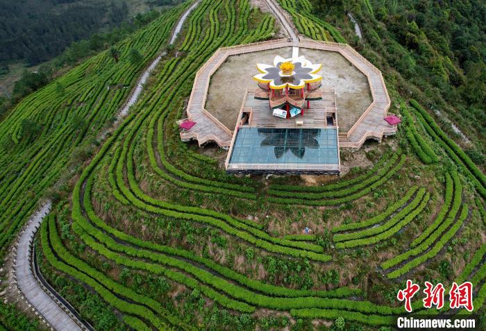 圖為西藏林芝市墨脫縣背崩鄉(xiāng)格林村山頂?shù)木坝^茶園。(無人機(jī)照片) 李林 攝