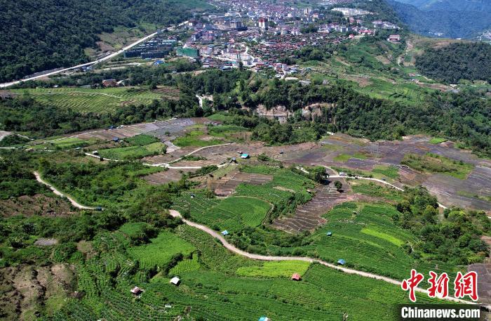圖為西藏林芝市墨脫縣城附近的茶田。(無人機(jī)照片) 李林 攝